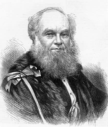 アルダーマン氏と保安官ウェタム、「イラストレイテッドロンドンニュース」、1873年のイラスト